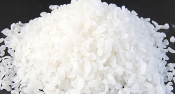  填充母料是有那幾部分組成的？